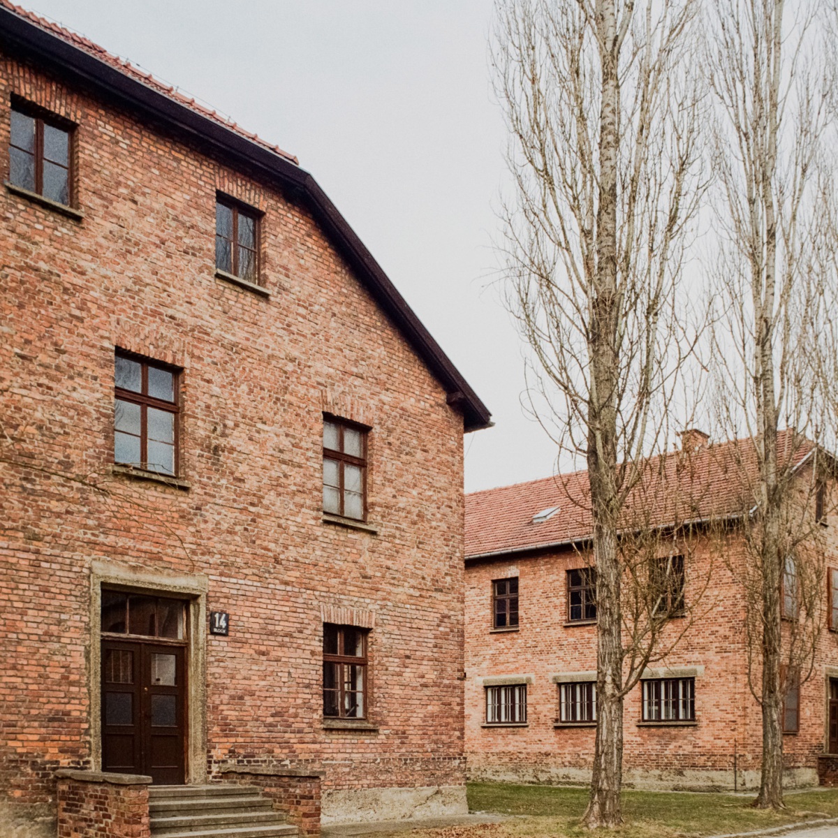 250304_000012540030_retuschiert_website