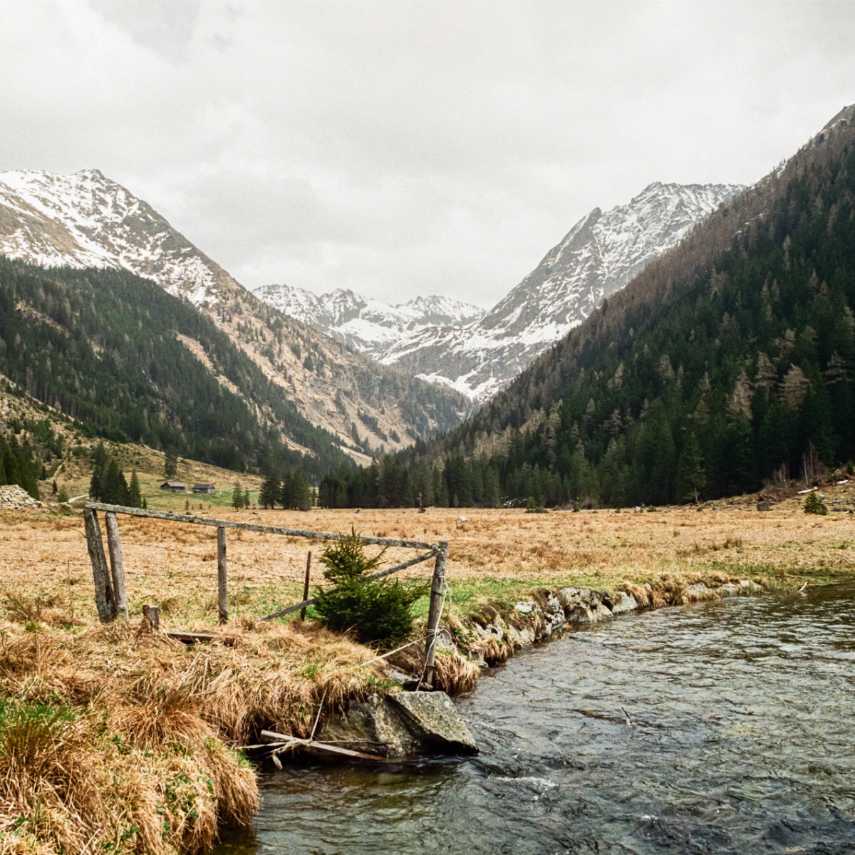 250428_000016740028_website