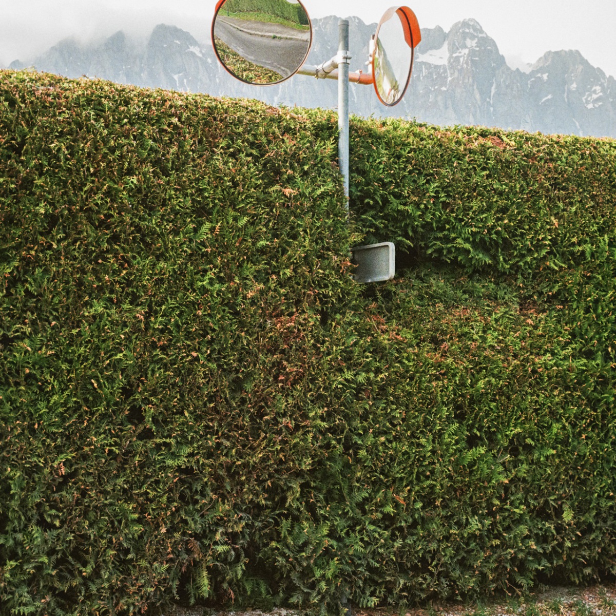 250428_000016740032_website