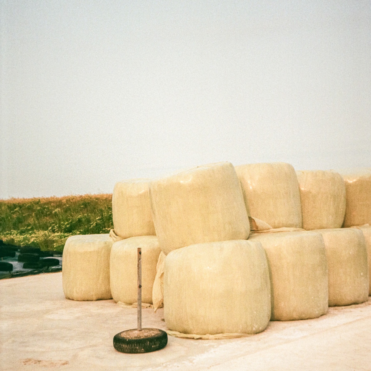 250617_000020410020_website