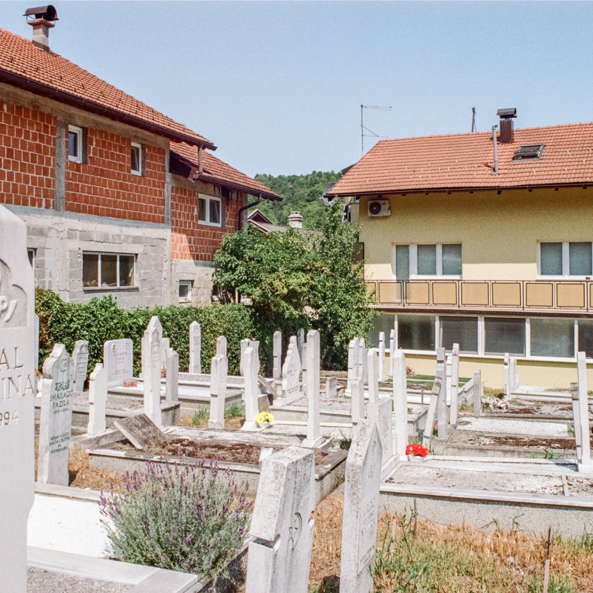 250911_000032200019_retuschiert_website