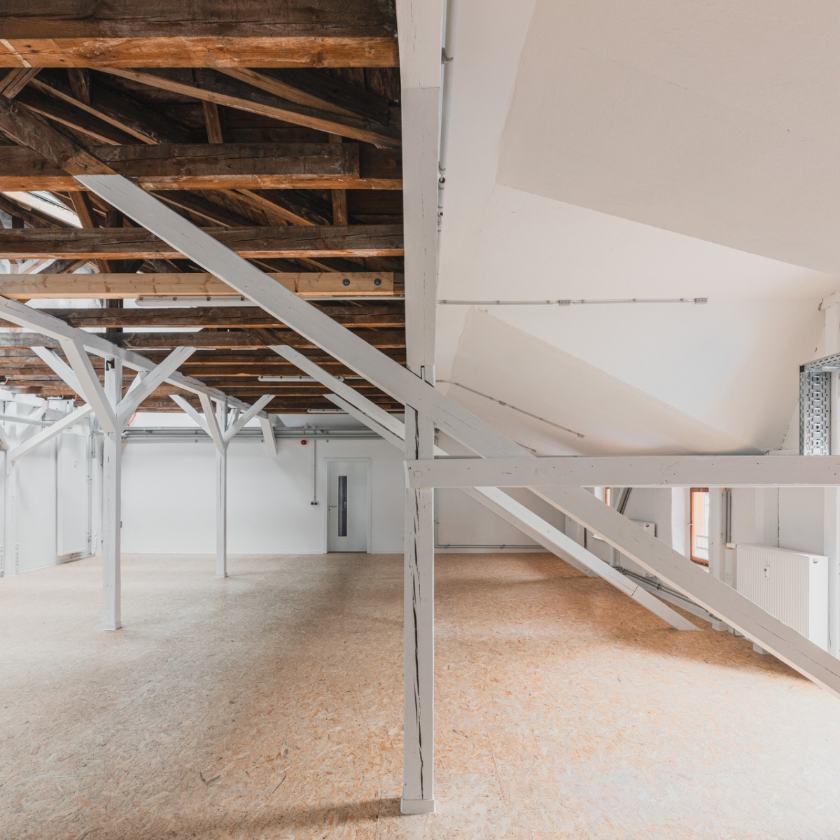 c5_250707_5D4_8228_retuschiert_website