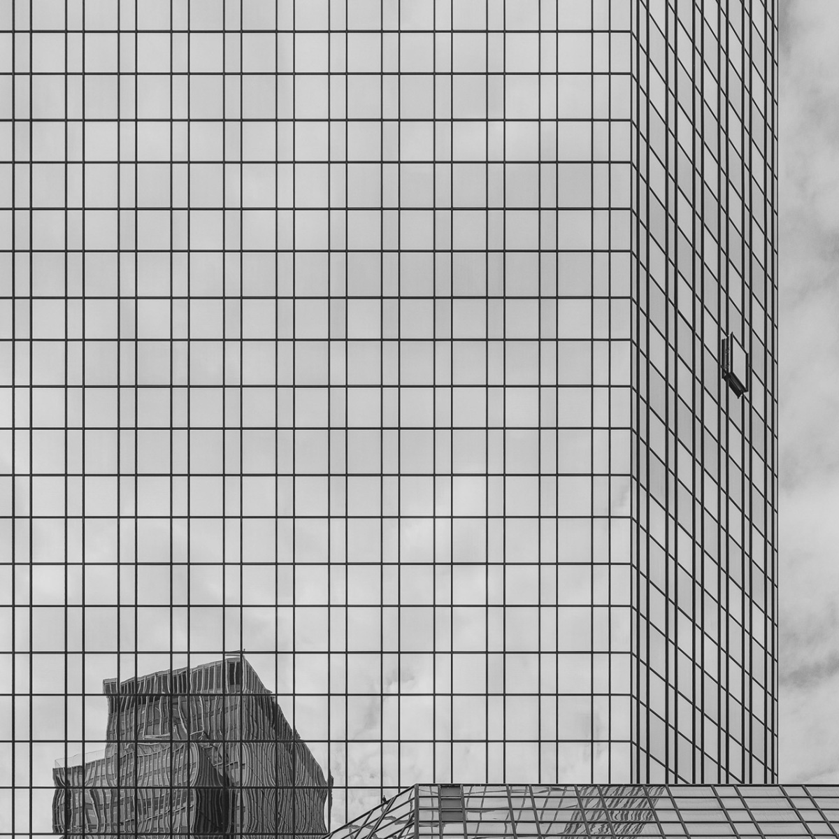 j1_5D4_3874