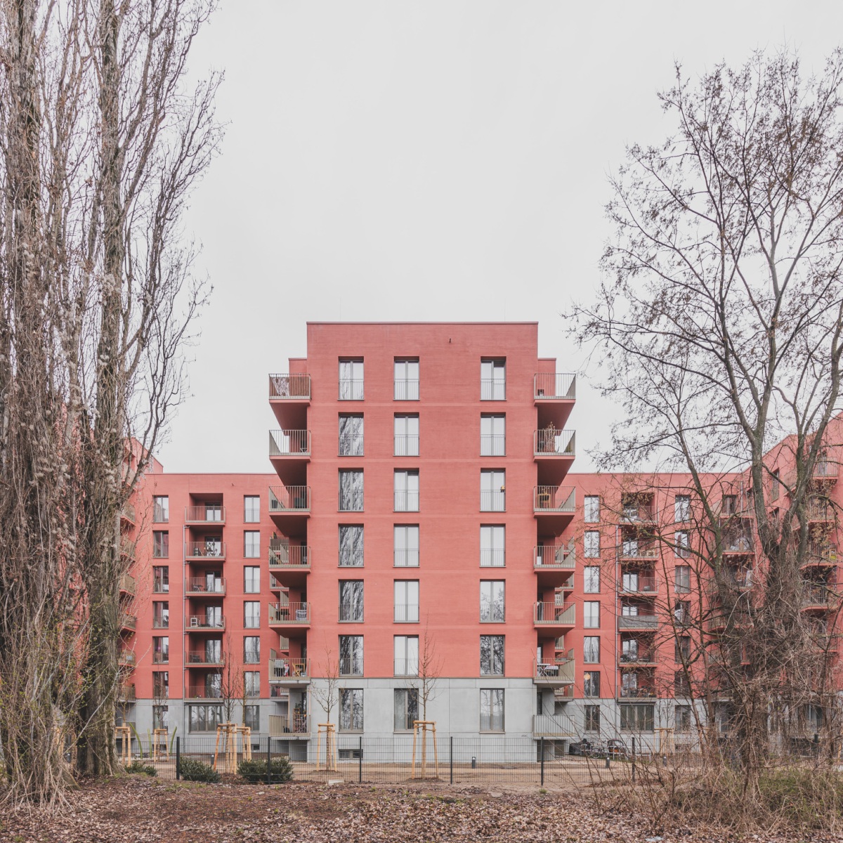 m2-240322_MOLE_0991